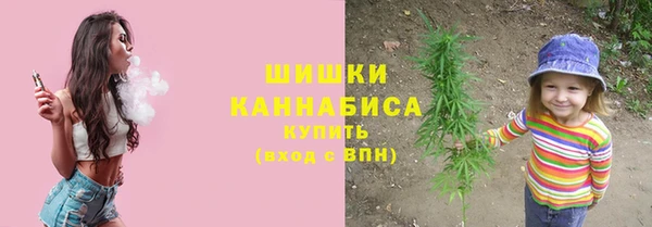 дмт Касимов