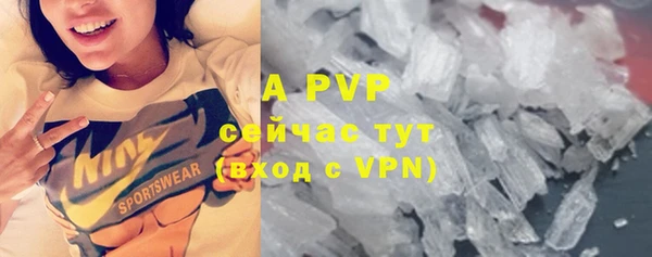 прущие крисы Карпинск