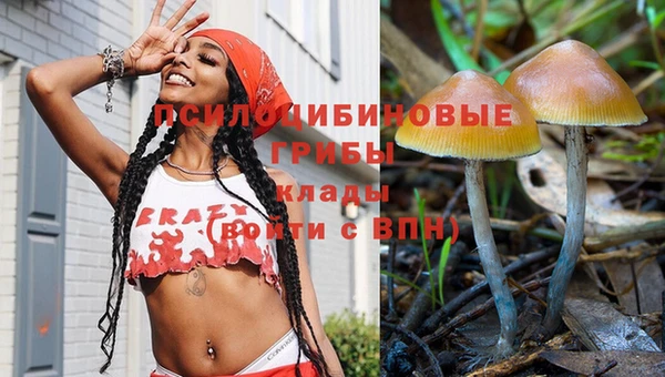 прущие крисы Карпинск