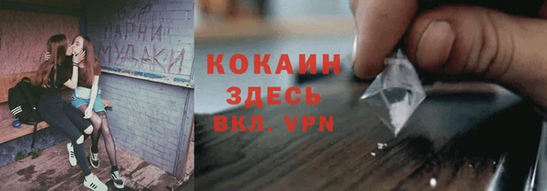дмт Касимов