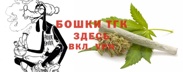 дмт Касимов