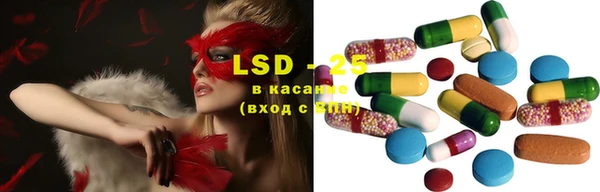 дмт Касимов