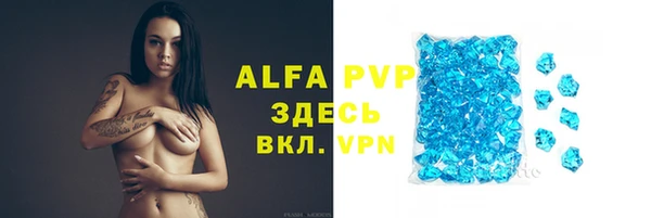 прущие крисы Карпинск