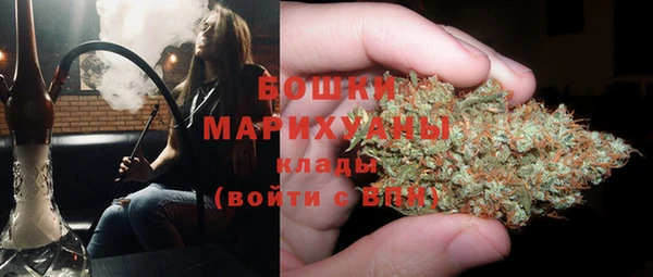 дмт Касимов