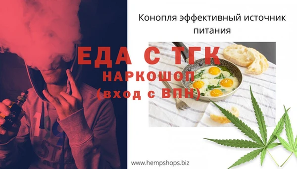 дмт Касимов
